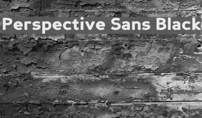 Perspective Sans Black Font examples