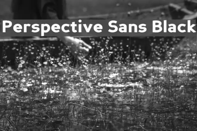 Perspective Sans Black Font examples