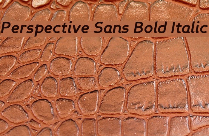 Perspective Sans Bold Italic Font examples
