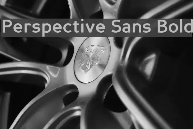 Perspective Sans Bold Font examples