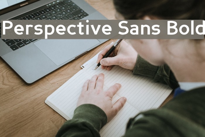 Perspective Sans Bold Font examples