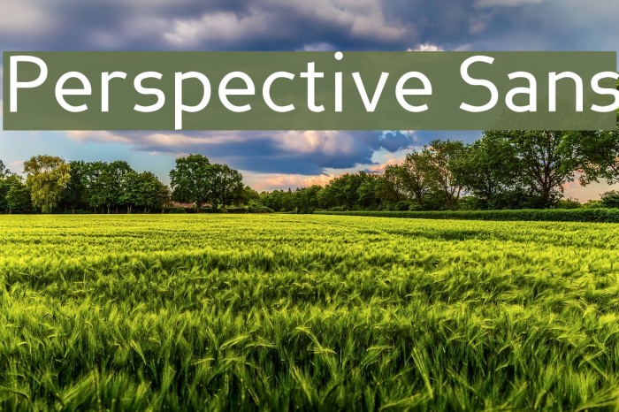 Perspective Sans Font examples