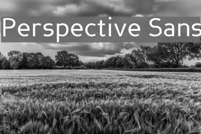 Perspective Sans Font examples