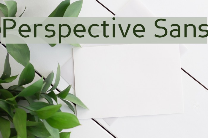 Perspective Sans Font examples