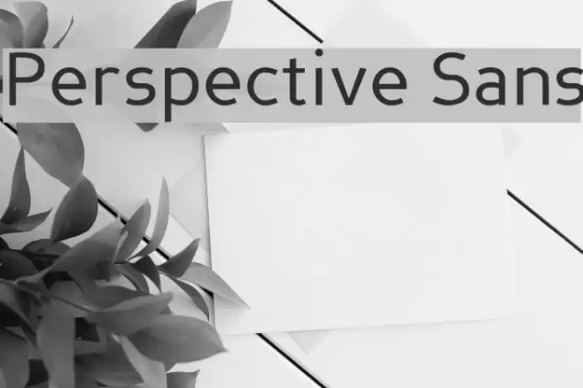 Perspective Sans Font examples