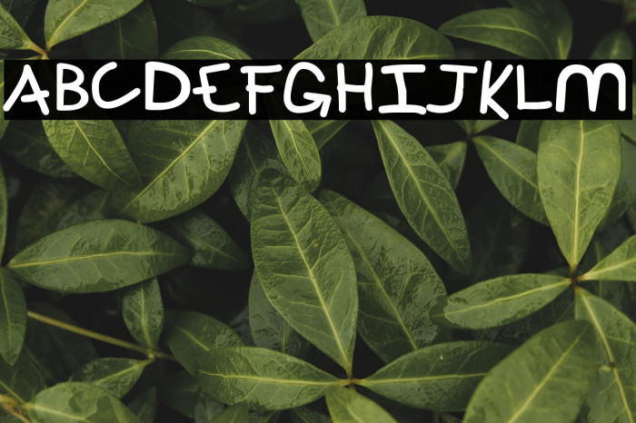 Perspective Example 1