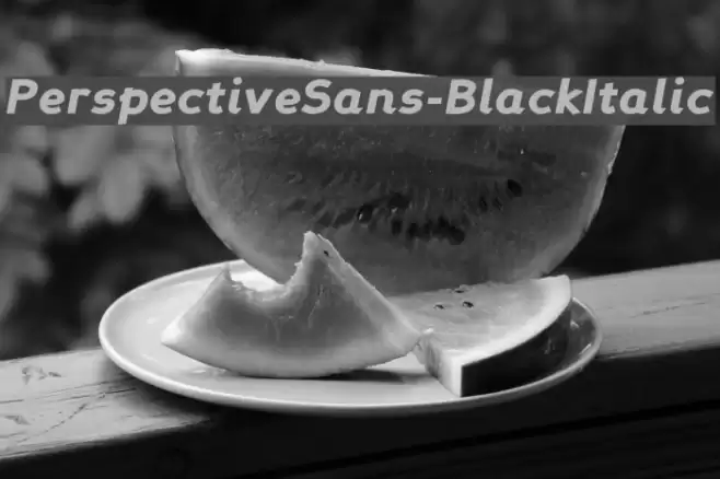 PerspectiveSans-BlackItalic Font examples
