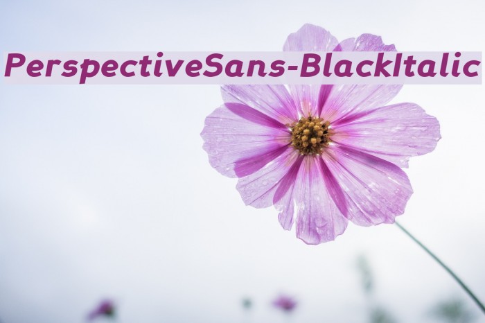 PerspectiveSans-BlackItalic Font examples