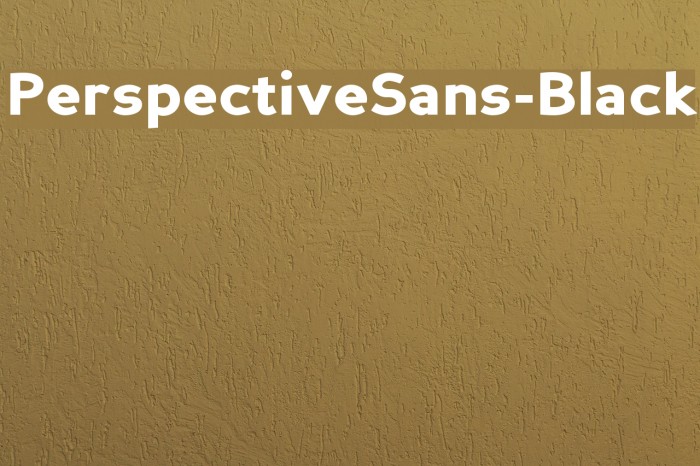 PerspectiveSans-Black Example 1