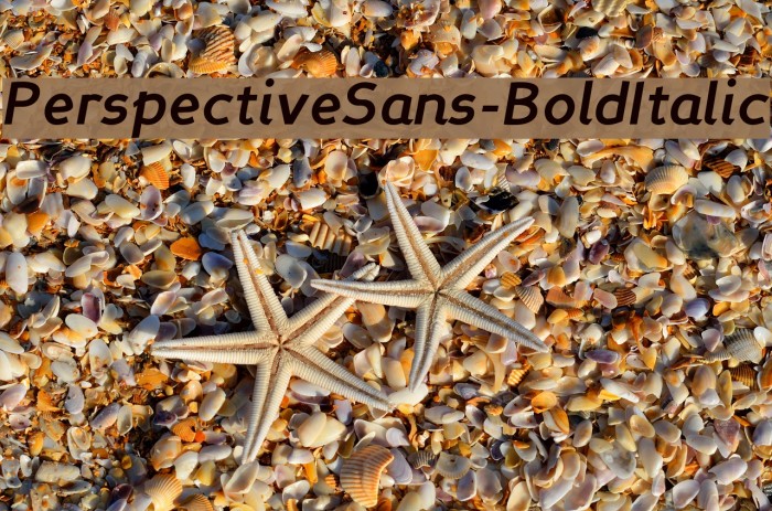 PerspectiveSans-BoldItalic Font examples
