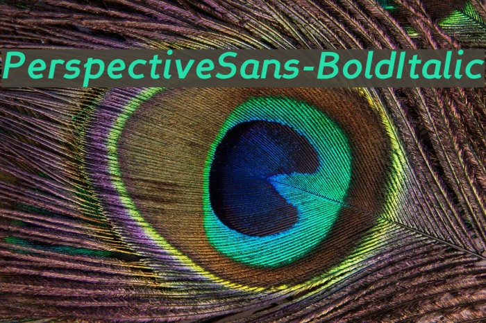 PerspectiveSans-BoldItalic Font examples