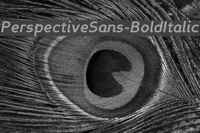 PerspectiveSans-BoldItalic Font examples