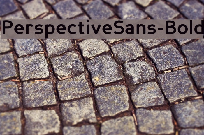 PerspectiveSans-Bold Font examples