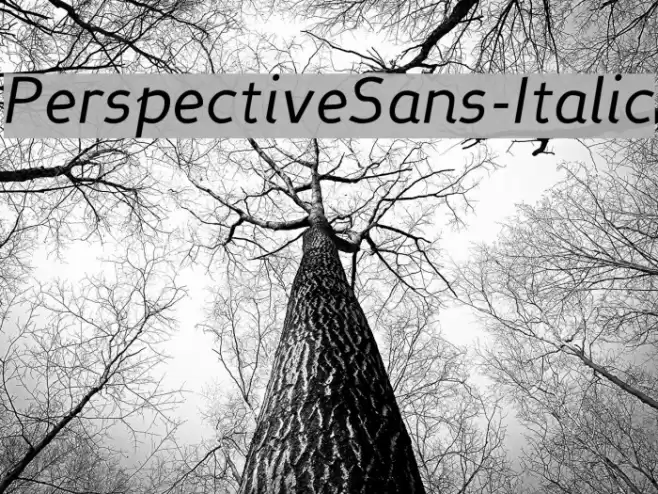 PerspectiveSans-Italic Font examples