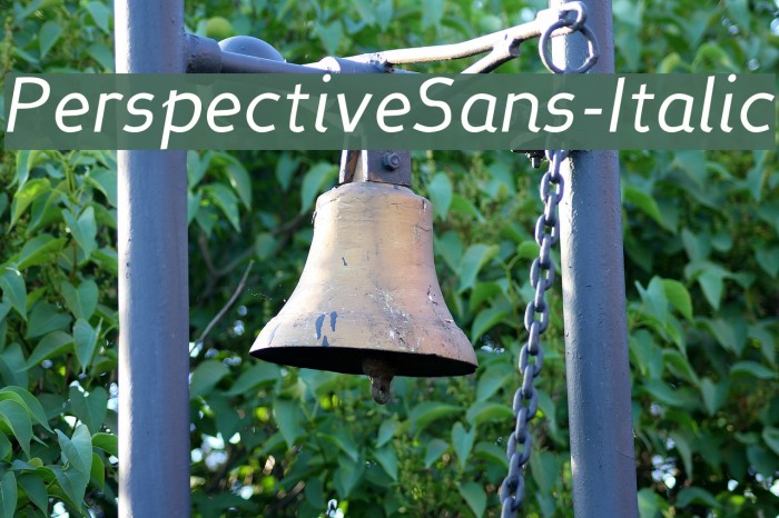 PerspectiveSans-Italic Font examples