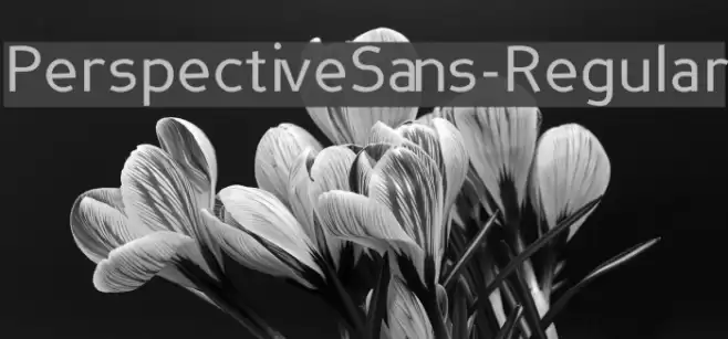 PerspectiveSans-Regular Font examples