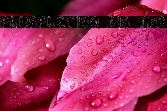 Perspectivo Dis tfb Font examples