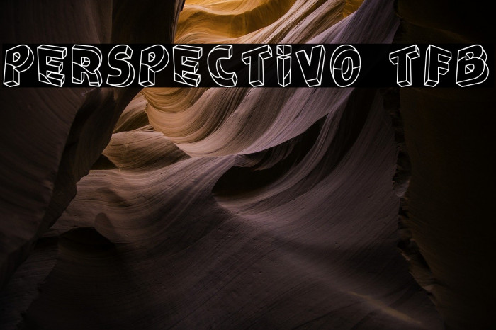 Perspectivo tfb Example 1