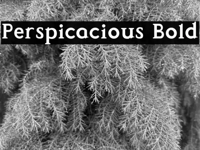 Perspicacious Bold Font examples