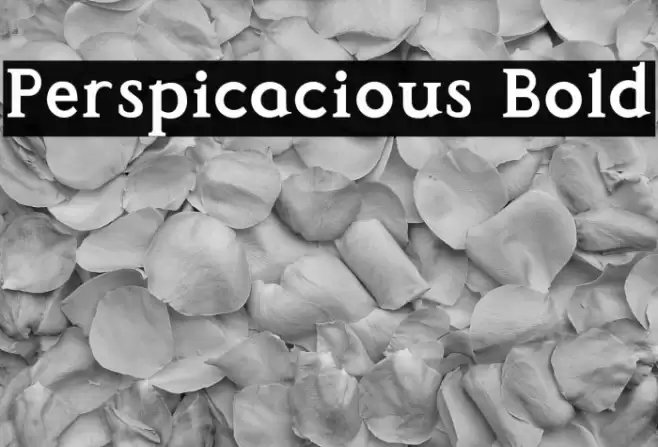 Perspicacious Bold Font examples