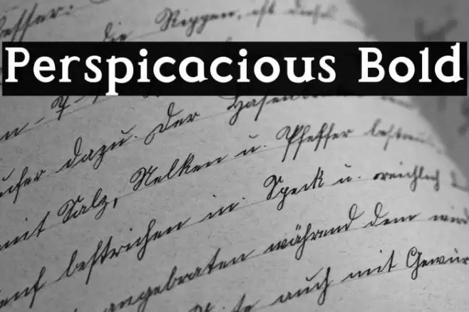 Perspicacious Bold Font examples