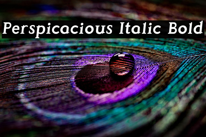 Perspicacious Italic Bold Example 1