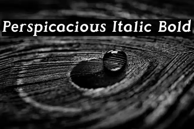 Perspicacious Italic Bold Font examples