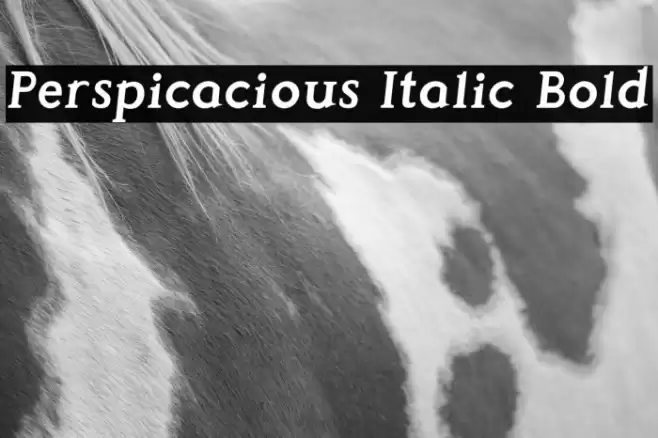 Perspicacious Italic Bold Font examples