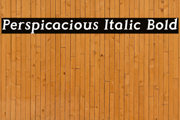 Perspicacious Italic Bold Example 3