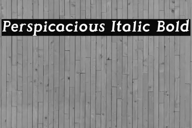 Perspicacious Italic Bold Font examples