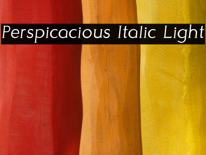 Perspicacious Italic Light Example 1