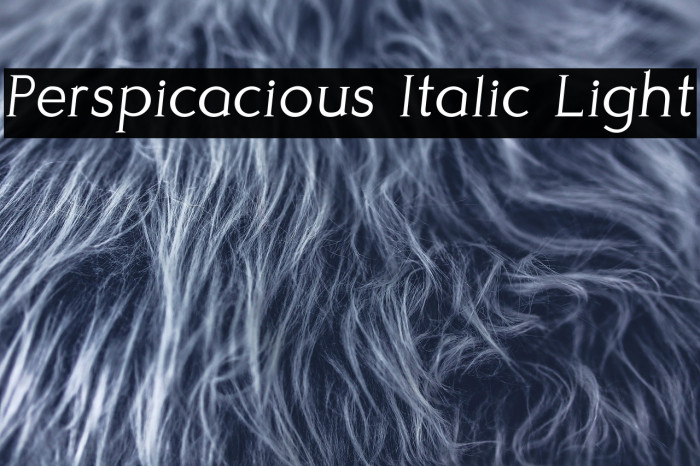 Perspicacious Italic Light Example 2