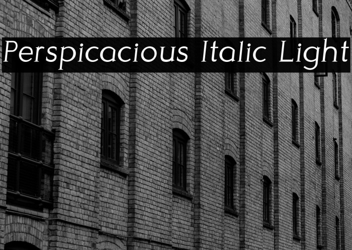 Perspicacious Italic Light Example 3