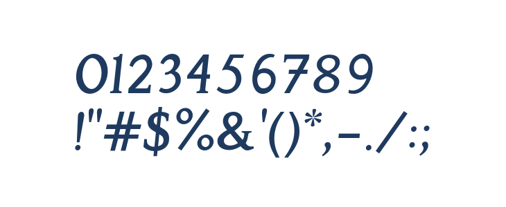 Perspicacious Italic Medium Other Characters