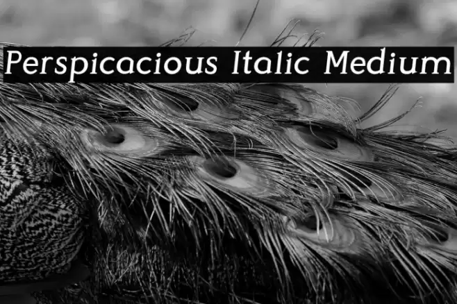 Perspicacious Italic Medium Font examples