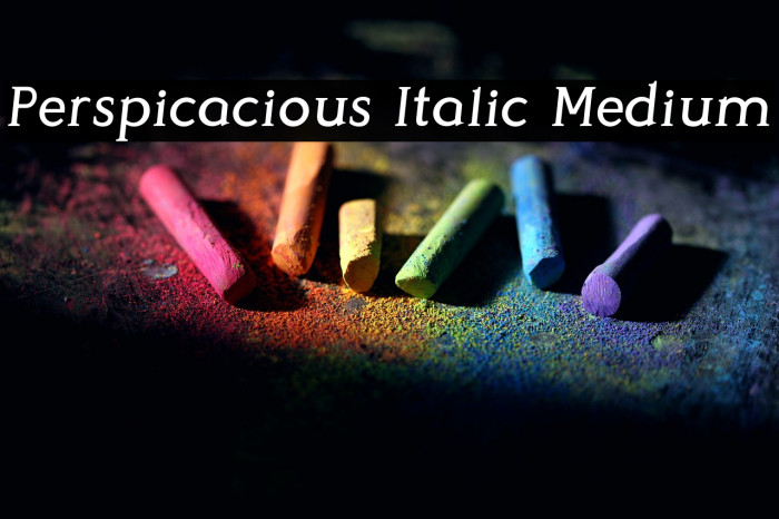 Perspicacious Italic Medium Example 3