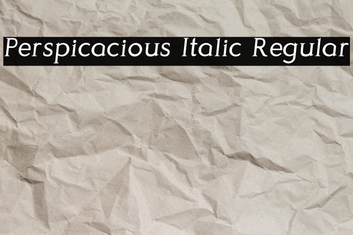 Perspicacious Italic Regular Example 1