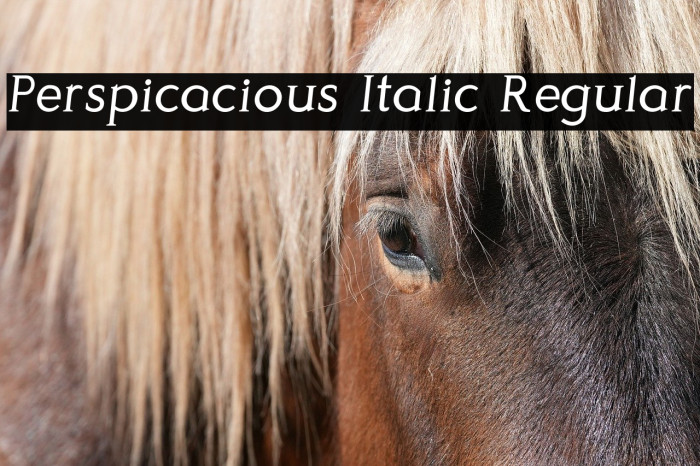 Perspicacious Italic Regular Example 2