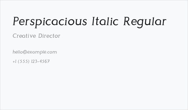 Perspicacious Italic Regular Business Card