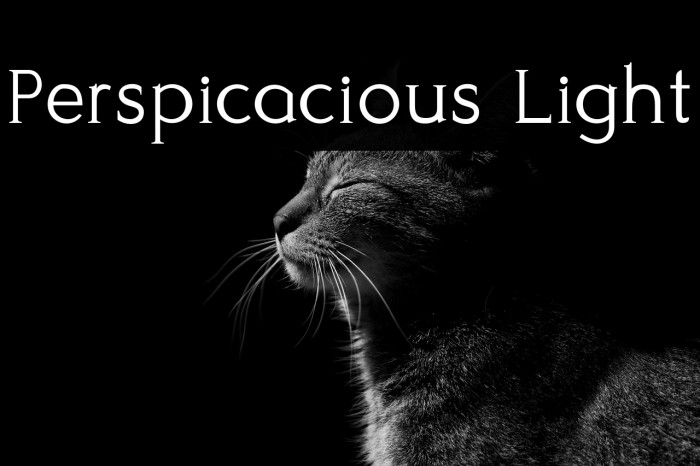 Perspicacious Light Example 1