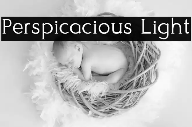 Perspicacious Light Font examples