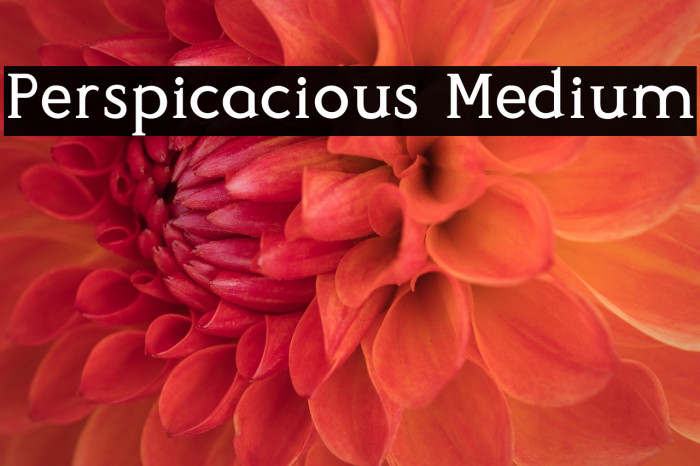 Perspicacious Medium Example 1