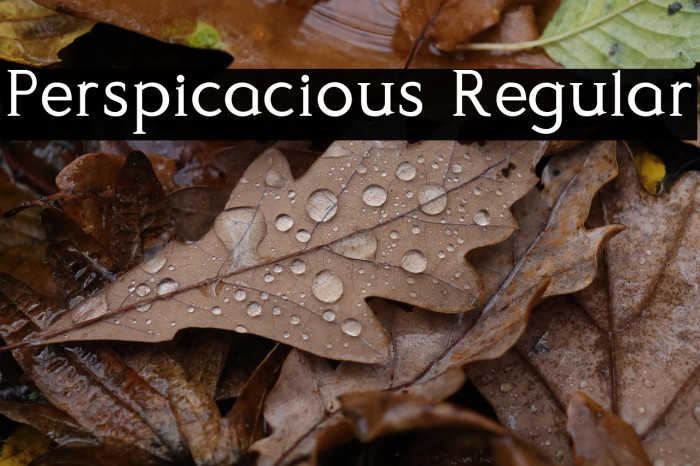 Perspicacious Regular Example 2