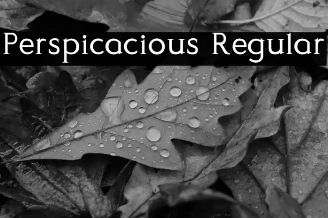 Perspicacious Regular Font examples
