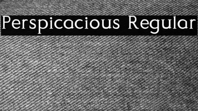 Perspicacious Regular Font examples