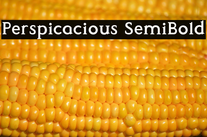 Perspicacious SemiBold Example 2