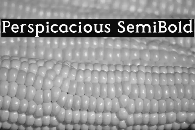 Perspicacious SemiBold Font examples