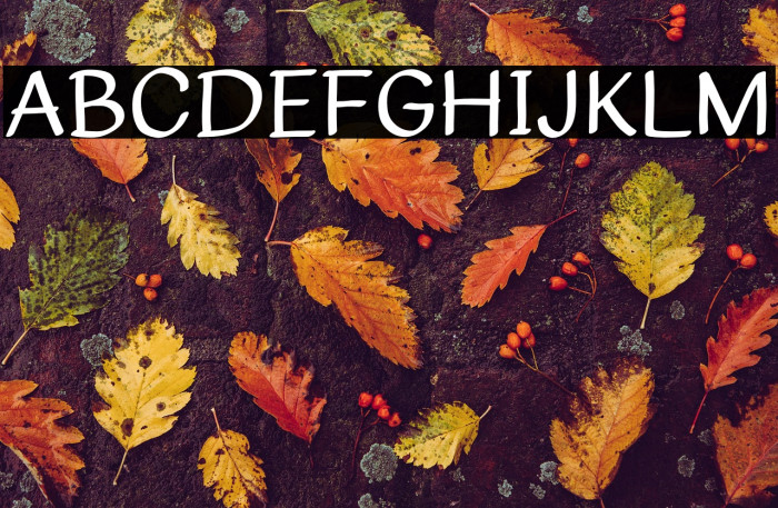 Pertamax fake Fuentes examples