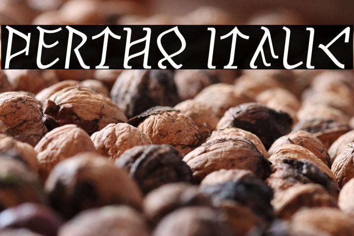 Pertho Italic Example 3