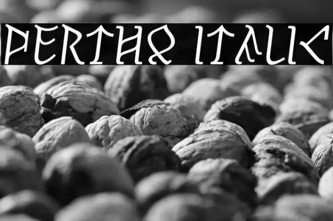 Pertho Italic Font examples